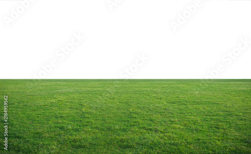 green grass field over white background	
