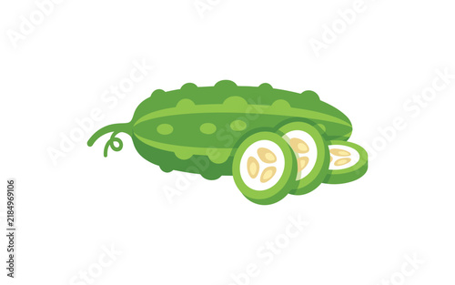 Sliced cucumber with whole vegetable vibrant vector illustration