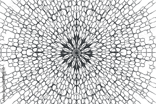 фотографія Intricate network pattern radiates from center a black and monochrome style
