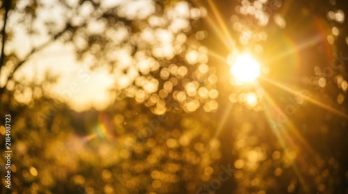 The sun shines brightly through a dense tree canopy, creating a bokeh effect of golden light and shimmering rays.