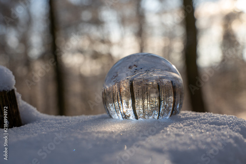 Trees are reflected in a ball in the snow