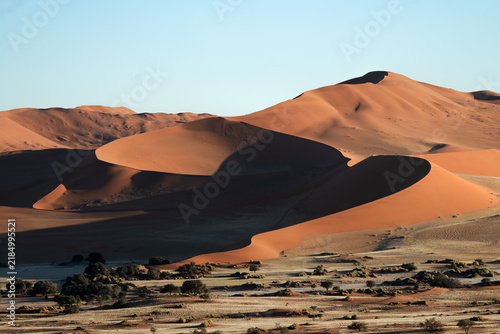 Bild auf Leinwand Red dune rising above scattered desert trees