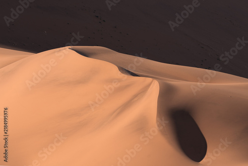 Foto Wind sculpted dune crest in warm afternoon light
