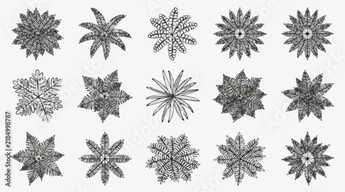 Intricate Snowflake Patterns Collection with Unique Symmetrical Designs