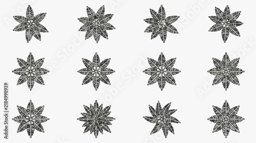 Intricate Collection of Symmetrical Snowflake Designs for Winter Art and Decor