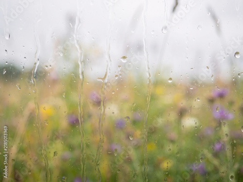 Raindrops streaking on window glass with soft blurred meadow background. Ideal for peaceful background wallpapers, mental health blogs, and nature ads.