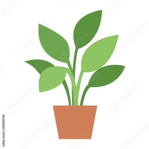 Potted houseplant indoor decor element in terracotta pot for home exterior in flat vector illustration