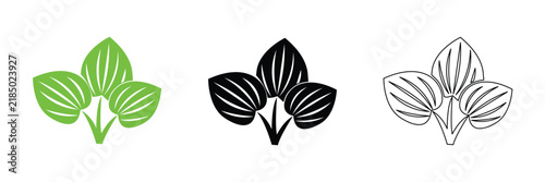 Betel Leaf Plant Icon Vector Set with Flat and Outline Styles