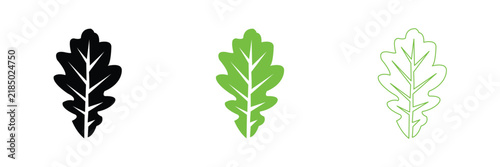 Oak Leaf Icon Vector Set with Multiple Styles