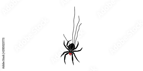 Obraz na płótnie Black widow spider hanging on web thread against gray background.