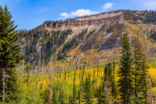 Stone plateau among forest