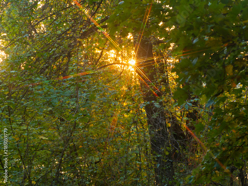 Fotografie Spectra of the setting sun