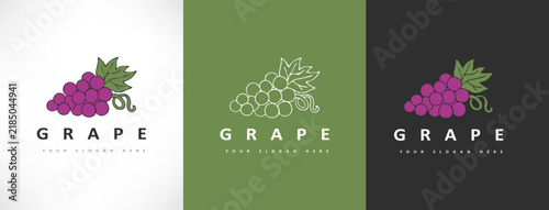 Grapes logo bunchberry vector design