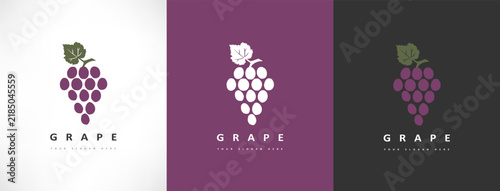Grapes logo bunchberry vector design
