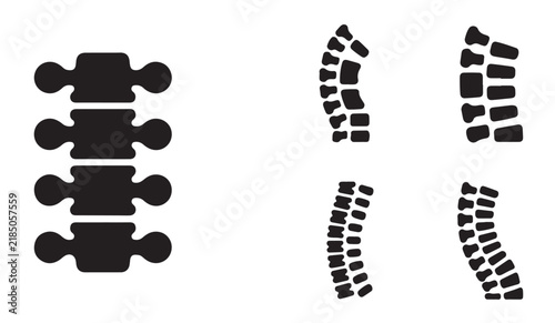 Bild auf Leinwand Vertebral segments and spinal cord silhouettes black design elements for medical anatomical presentations