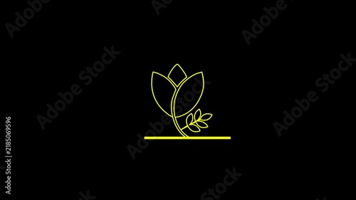Floral Outline Reveal Animation on black background. 4k video