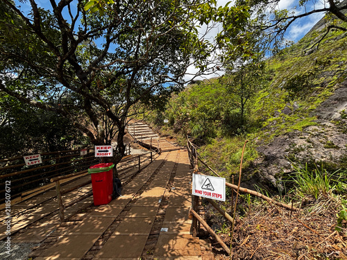 Cuadro en lienzo Trekking trail and pathway to Neelakurinji blooming hills in Munnar Kerala