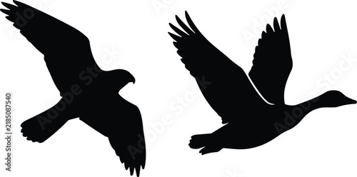 Black flying birds silhouettes vector illustration featuring hawk and goose isolated on white background