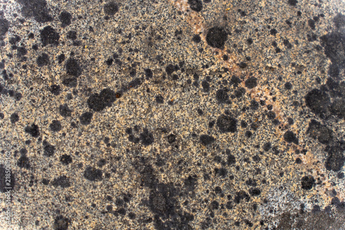 Foto Top view close-up of natural granite stone surface covered with dark round lichen spots and mineral speckles
