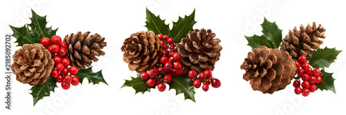 Set of Beautiful winter celebration decoration featuring layered pine cones, holly leaves, small red berries on transparent png background. Ai generated