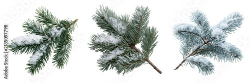 Set of Single evergreen tree branch with thick layers of fresh white snow resting on the needles on transparent png background. Ai generated