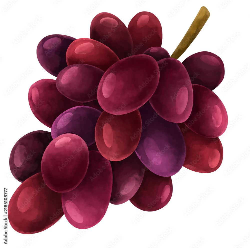 Fototapeta premium Textured raster illustration of a ripe dark grape bunch. Isolated autumn berry icon with watercolor texture, perfect for wine branding, harvest designs, and food packaging