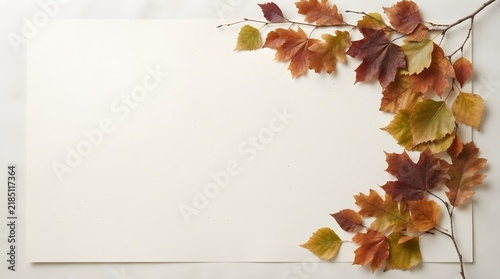 Autumn leaves and a blank canvas on a light colored wall with window light