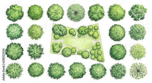 Set of top view trees and landscape plants for architecture design