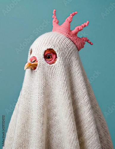 Chicken dressed as ghost in knitted sweater with crown, funny animal portrait