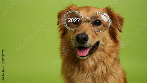 Portrait of golden brown dog wearing oversized gold glitter 2027 party glasses against green backdrop, created with generative ai.