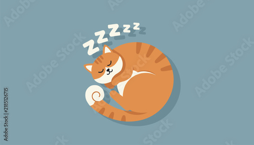 Cute orange tabby cat curled up and sleeping peacefully with zzz speech bubbles above its head for nap time concept.
