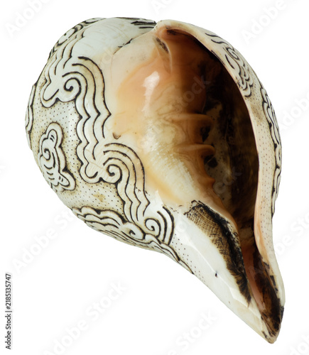 Shankha conch shell depicting buddhist ceremonial carving