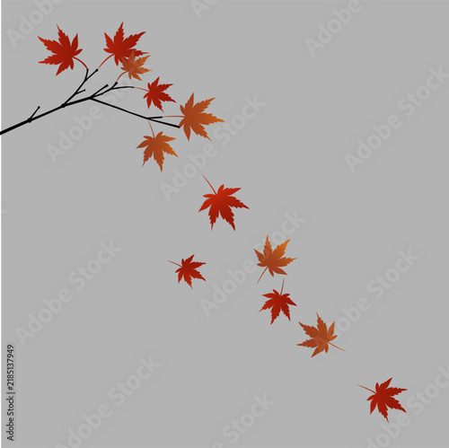 Autumn Maple Leaves Falling from Branch with Isolated Seasonal Nature Background. Resizable and editable, EPS 10.