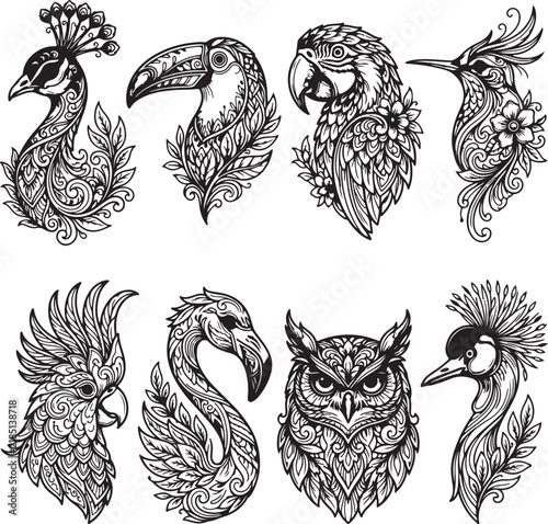 vector set of birds