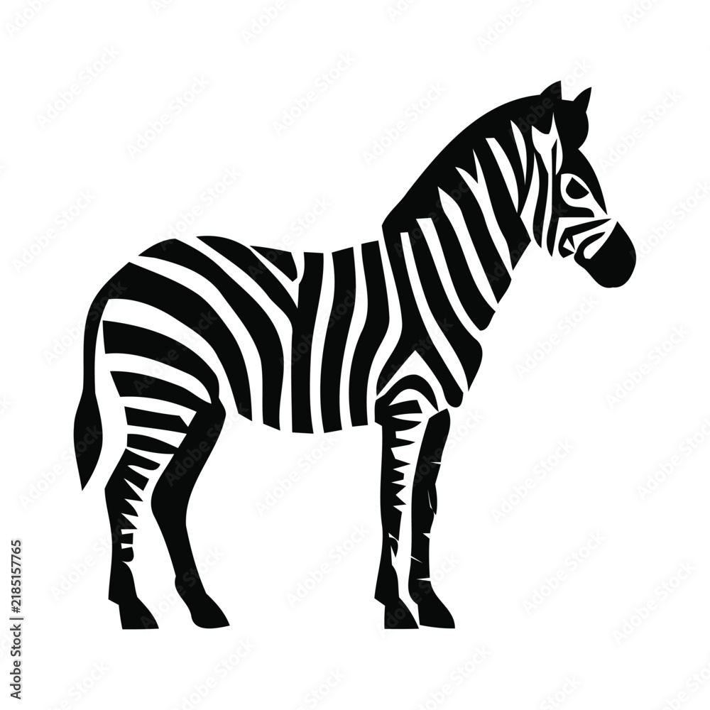 Obraz premium The Zebra black and white vector silhouette