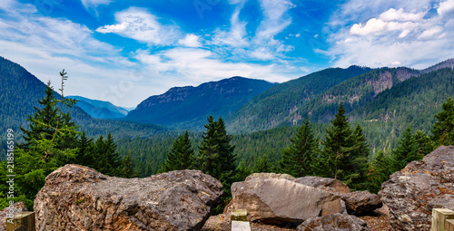 Washington Mountain Landscape