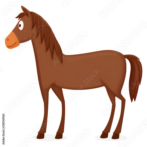Cute Brown Horse Standing Isolated on White Background 