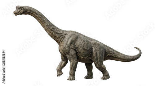 Brachiosaurus dinosaur walking showing long neck and textured skin isolated on transparent background png.