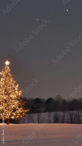 A decorated tree stands in a snow-covered field under the night sky. The tree is adorned with lights, and the snowy landscape creates a serene and festive scene. Winter landscape