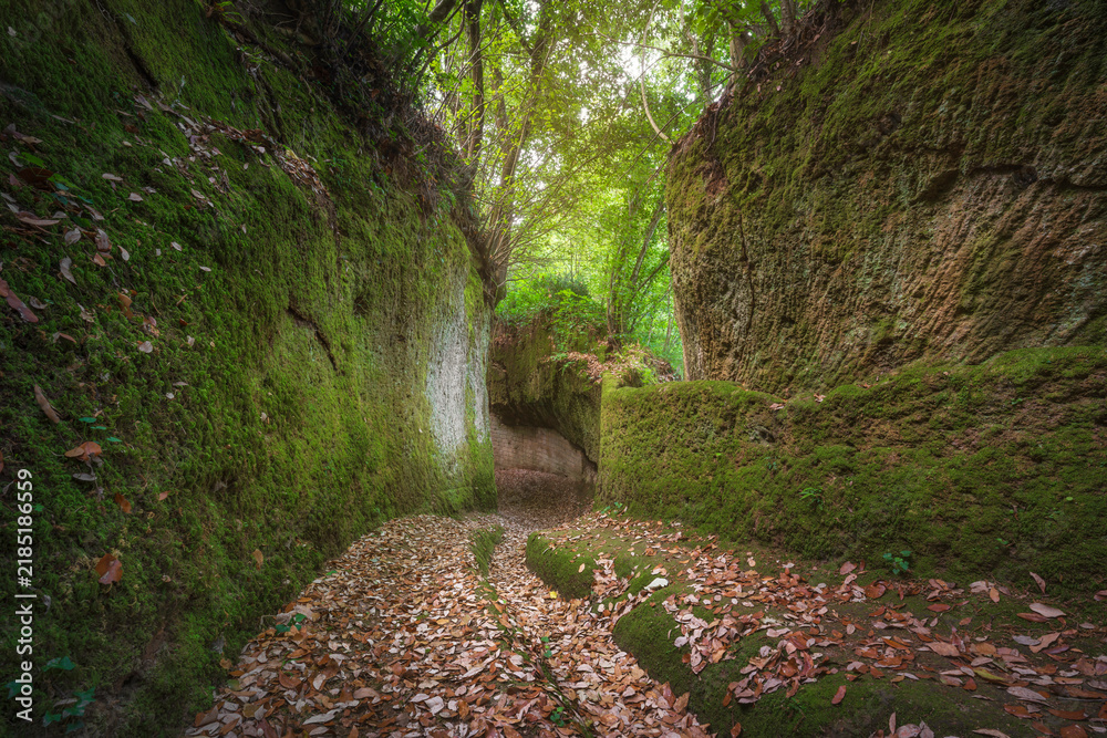 Obraz premium Via Cava di San Rocco Etruscan Sunken Road in Sorano, Tuscany, Italy