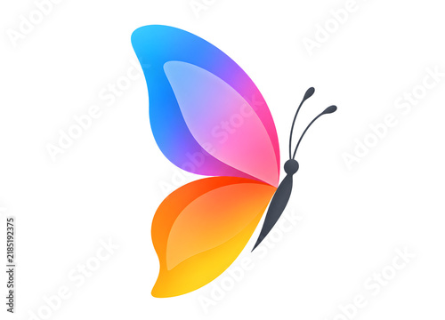 Modern Colorful Gradient Butterfly Icon on Transparent Background