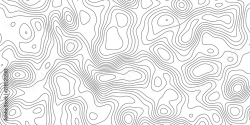 Elegant elevation contour line background with abstract elevation pattern, layered contour rings forming hills and valleys, for presentation, cover and web banner.