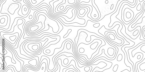Elegant abstract elevation contour line background, precise cartographic lines with subtle depth, for presentation, cover and web banner.