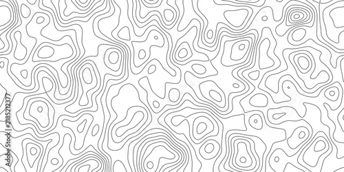 Elegant elevation contour line background with abstract elevation pattern, clean topo lines with open negative space, for presentation, cover and web banner.