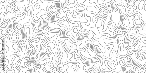 Elegant abstract topographic map line background, detailed elevation lines with organic curves, for presentation, cover and web banner.