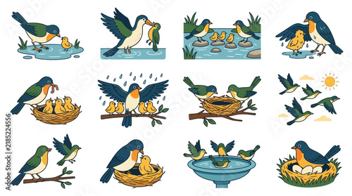 Elegant Illustrations of Colorful Birds Engaging in Nesting Feeding and Flying Scenes in Nature