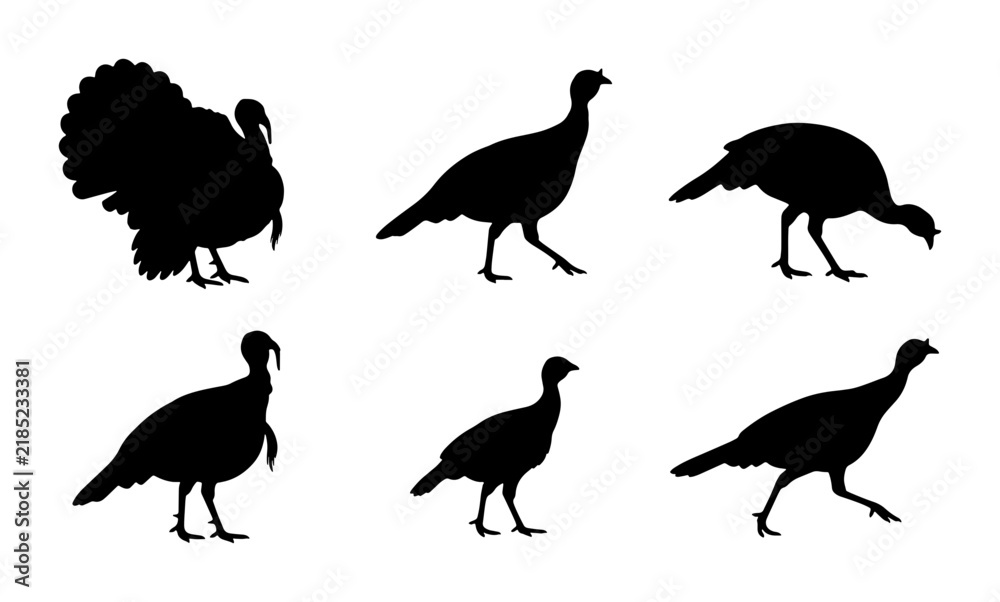 Obraz premium Turkey Silhouettes Collection, Bird Vector Icons, Wildlife Animal Graphics, Farm Poultry Graphics
