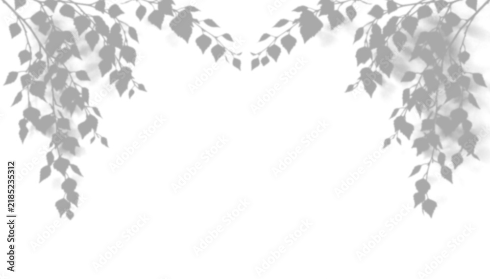 Fototapeta premium Shadow of birch tree branches isolated on transparent background