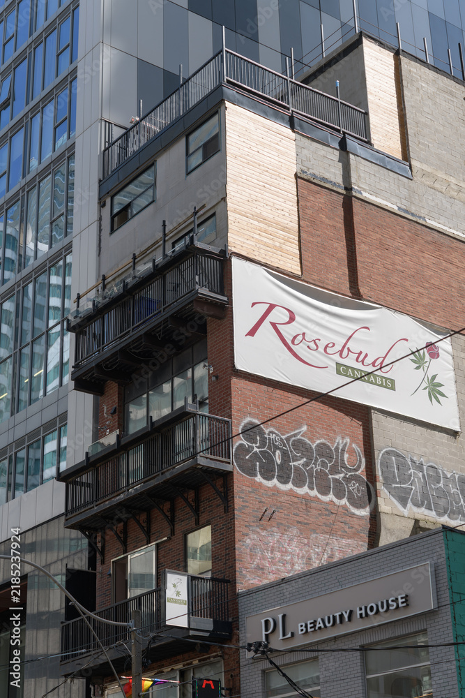 Obraz premium banner on the exterior of Rosebud Cannabis located at 365 King St W and PL Beauty House located at 367 King St W, Toronto
