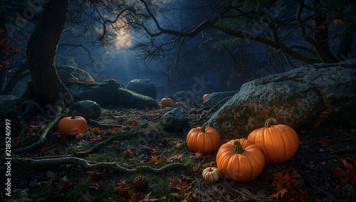 Small pumpkins in dark magical forest landscape at night under full moon with landscape halloween atmosphere enchanted woodland seasonal wilderness ethereal nighttime moonlight background